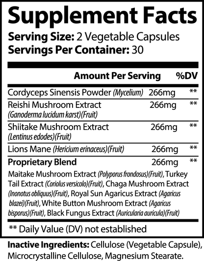 Dynamic Mushroom 10 X