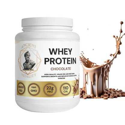 Whey Protein (Chocolate Flavour)