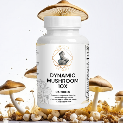 Dynamic Mushroom 10 X